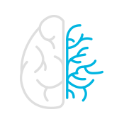 product-product-categories-magnetic-resonance-imaging-signa premier-Visualization Icon.png